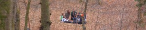 Mit Kindern im Wald