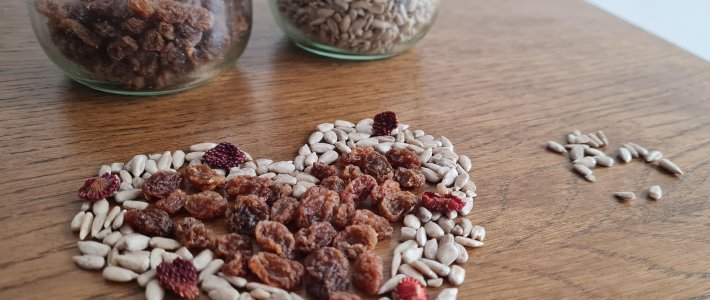 Vogelfutter Vogelfutter