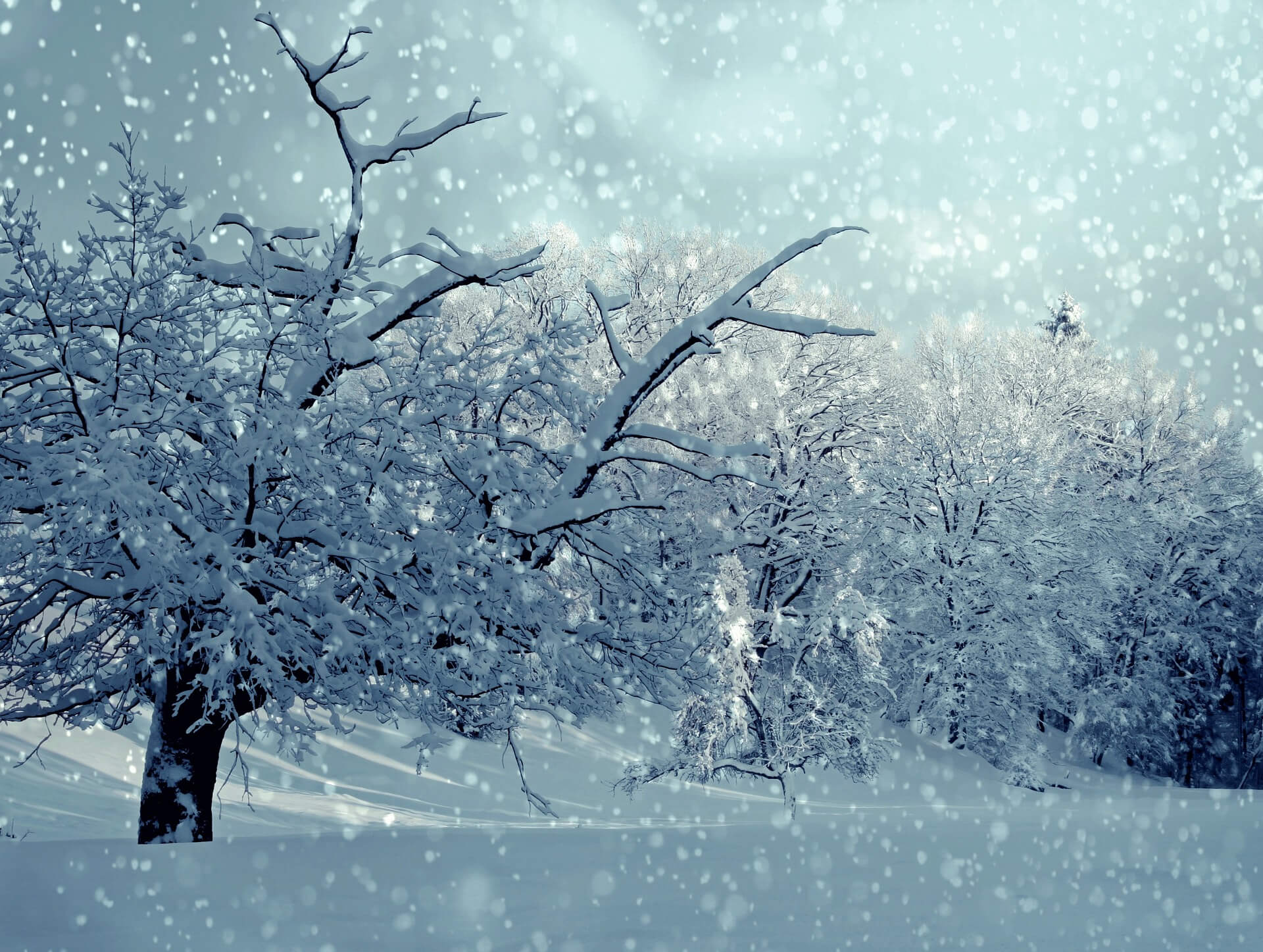 Das Märchen vom strahlenden Monat Januar Das Märchen vom strahlenden Monat Januar